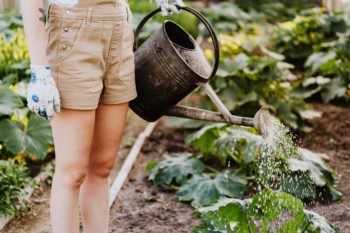 Entenda a importância dos insumos orgânicos para Agricultura orgânica